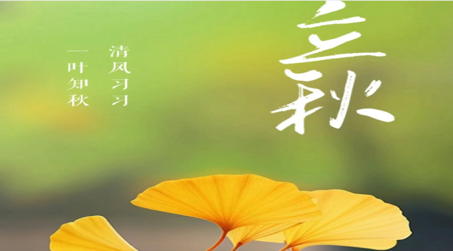 今日立秋，清風(fēng)習(xí)習(xí)，一葉知秋——在季節(jié)更迭中感受自然之美